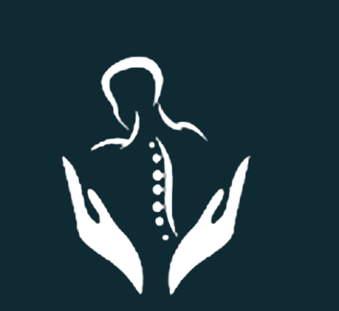RV Physiotherapy logo — spine in caring hands